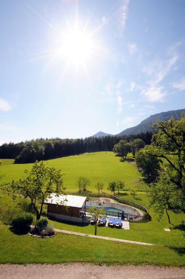 Farm stay Plenkhof *